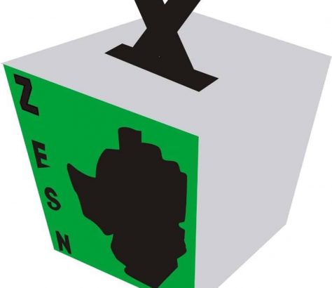 Zimbabwe Electoral Support Network
