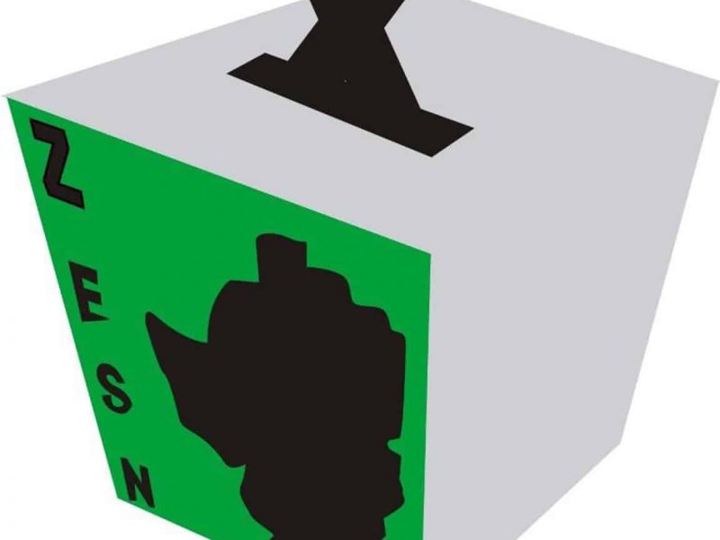 Zimbabwe Electoral Support Network