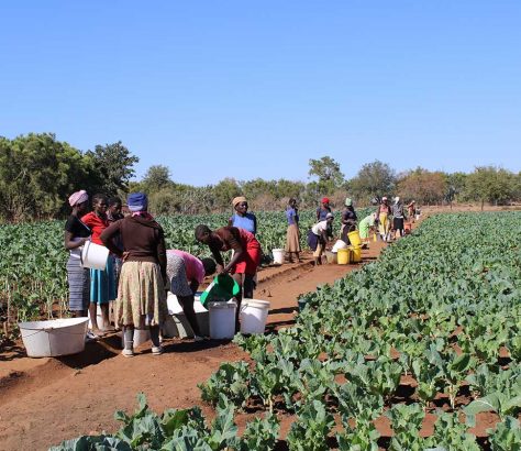 Khomonani Women's Garden