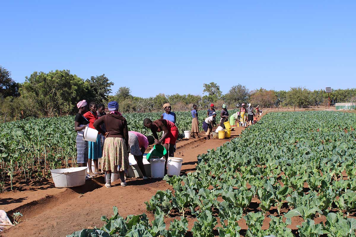 Khomonani Women's Garden