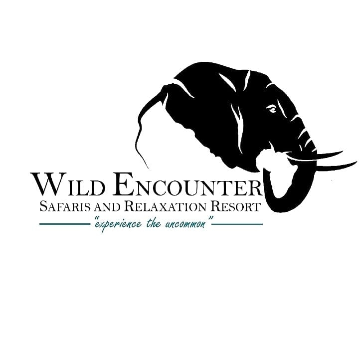Wild Encounter Safaris